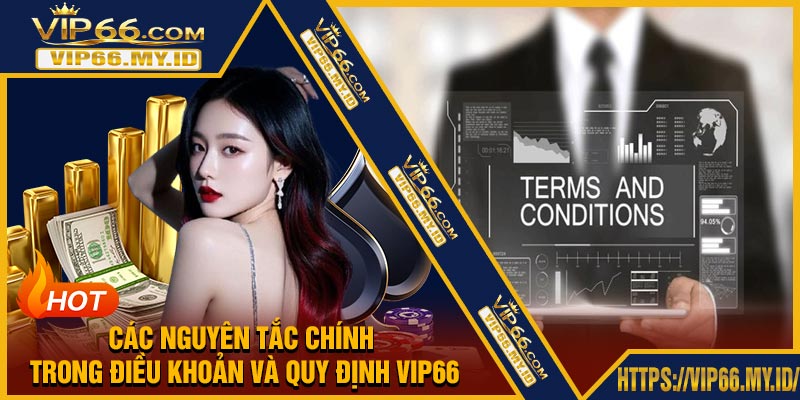 Các Nguyên Tắc Chính Trong Điều Khoản Và Quy Định VIP66