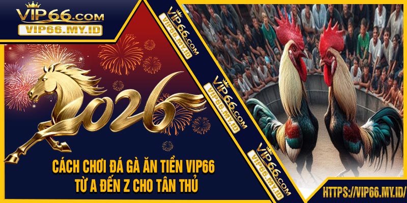 Cách Chơi Đá Gà Ăn Tiền VIP66 – Từ A Đến Z Cho Tân Thủ