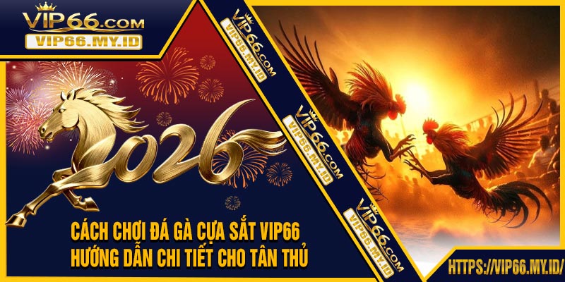 Cách Chơi Đá Gà Cựa Sắt VIP66 – Hướng Dẫn Chi Tiết Cho Tân Thủ