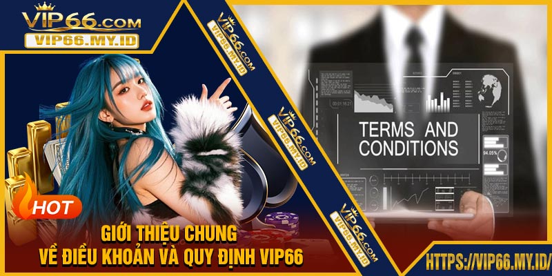 Giới Thiệu Chung Về Điều Khoản Và Quy Định VIP66