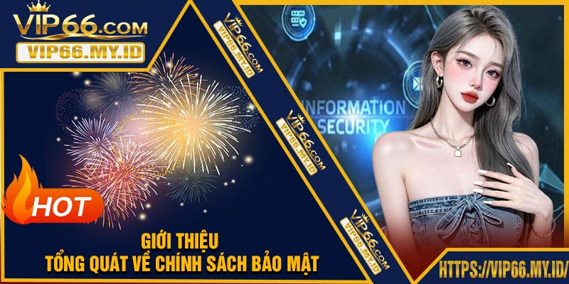 Giới Thiệu Tổng Quát Về Chính Sách Bảo Mật