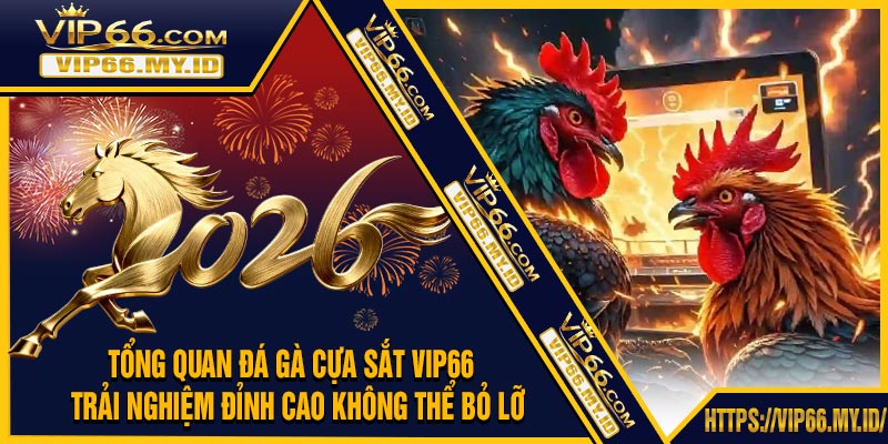 Tổng Quan Đá Gà Cựa Sắt VIP66 – Trải Nghiệm Đỉnh Cao Không Thể Bỏ Lỡ